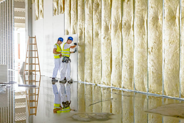 Best Commercial Insulation in Burt, MI